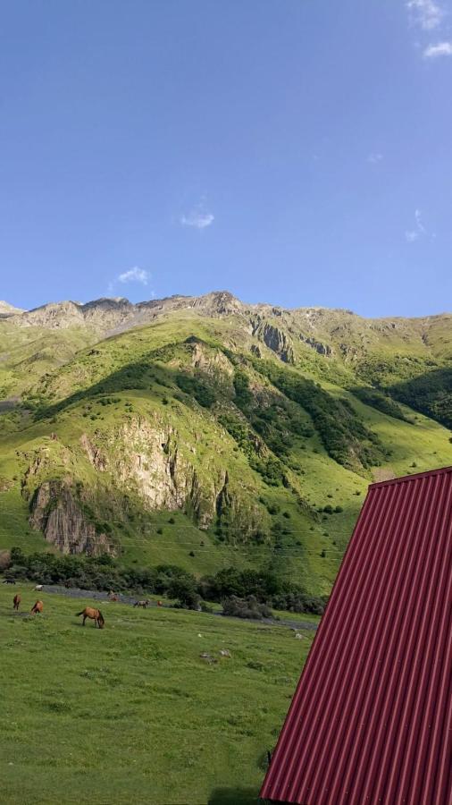 Mountain Flower Cottage Kazbegi Exteriör bild